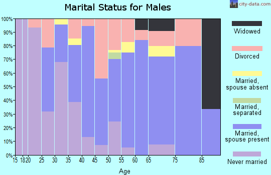 Zip code 24422 marital status for males