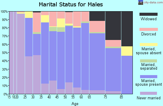 Zip code 24426 marital status for males