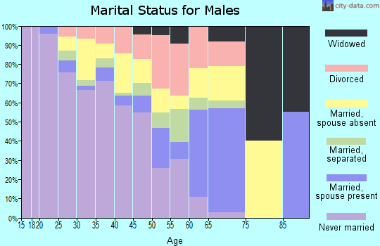 Zip code 24430 marital status for males