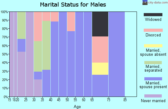 Zip code 24431 marital status for males