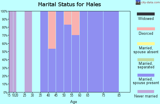 Zip code 24437 marital status for males