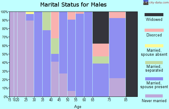 Zip code 24439 marital status for males
