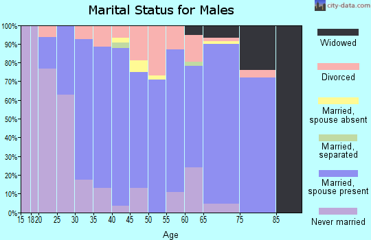 Zip code 24441 marital status for males