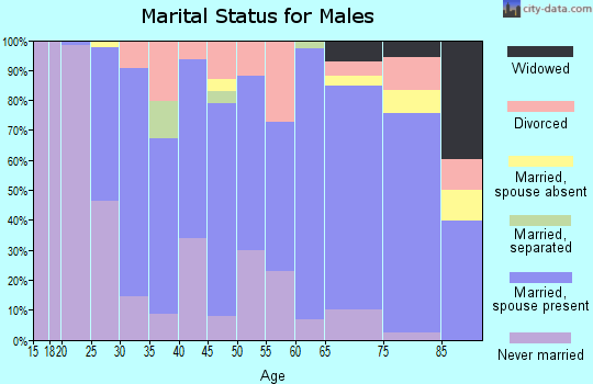 Zip code 24450 marital status for males
