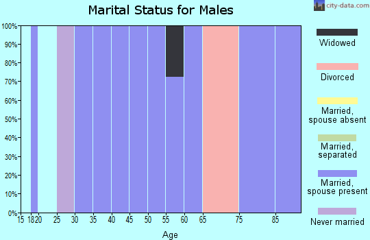 Zip code 24473 marital status for males