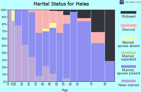 Zip code 24477 marital status for males