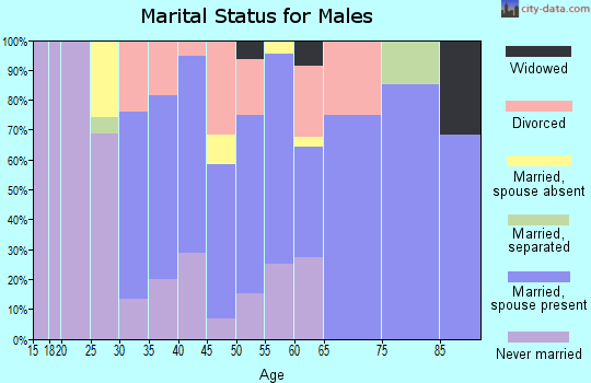 Zip code 24482 marital status for males