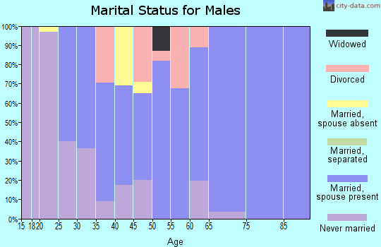 Zip code 24486 marital status for males