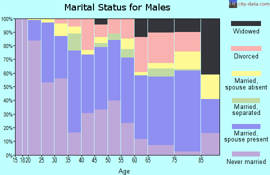 Zip code 24501 marital status for males