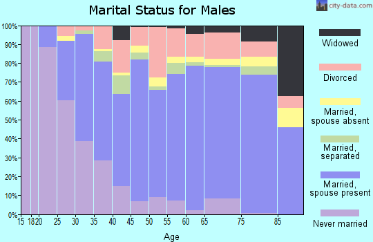Zip code 24502 marital status for males
