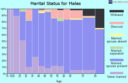 Zip code 24503 marital status for males