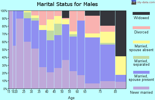 Zip code 24504 marital status for males