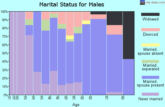 Zip code 24517 marital status for males