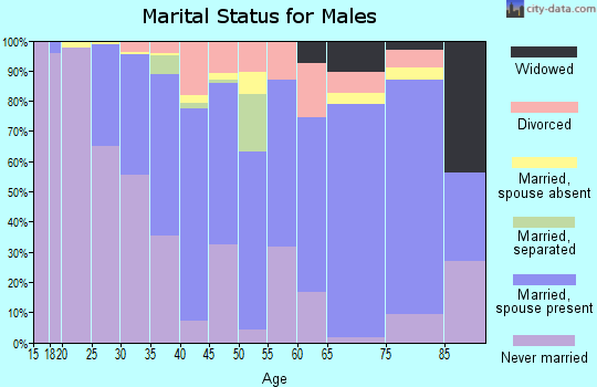 Zip code 24521 marital status for males