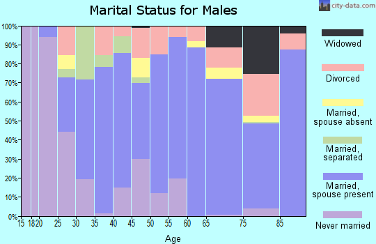 Zip code 24522 marital status for males