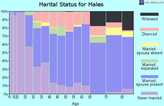 Zip code 24523 marital status for males