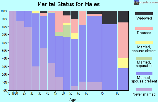 Zip code 24528 marital status for males