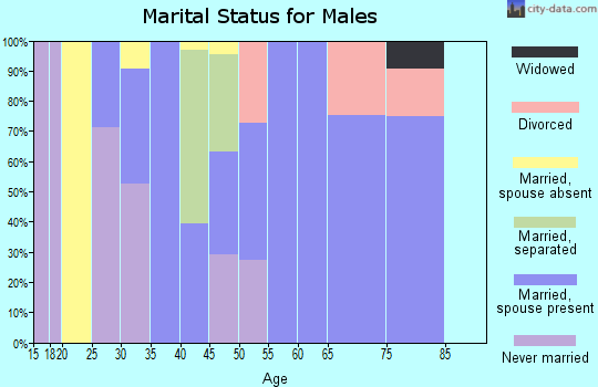 Zip code 24529 marital status for males