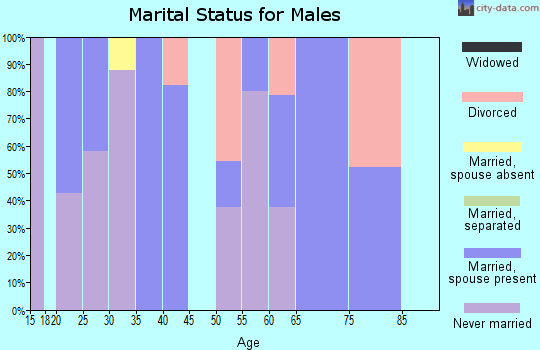 Zip code 24530 marital status for males