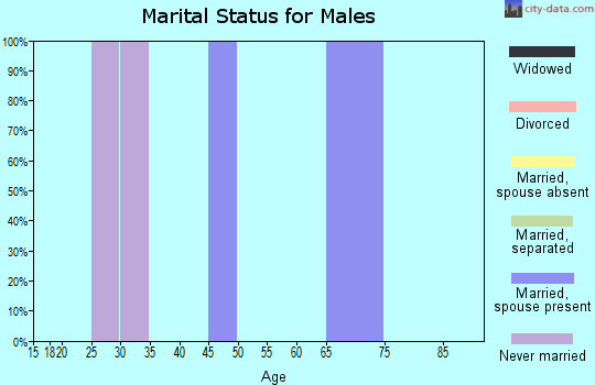Zip code 24536 marital status for males