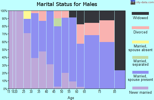 Zip code 24538 marital status for males