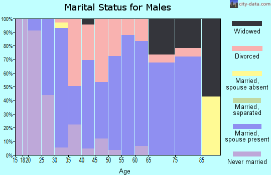 Zip code 24550 marital status for males