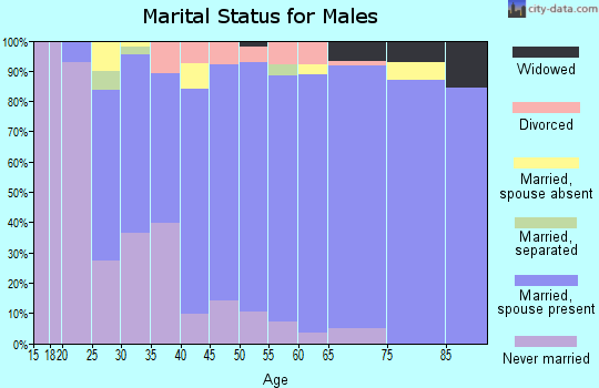 Zip code 24551 marital status for males