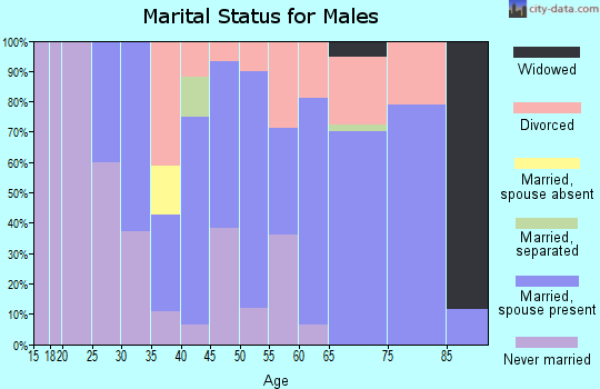 Zip code 24555 marital status for males
