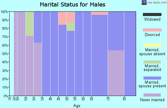 Zip code 24556 marital status for males