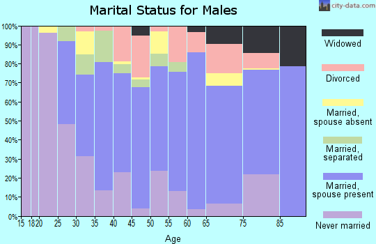 Zip code 24558 marital status for males