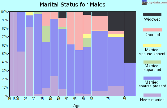 Zip code 24563 marital status for males