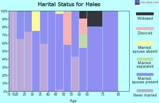 Zip code 24566 marital status for males