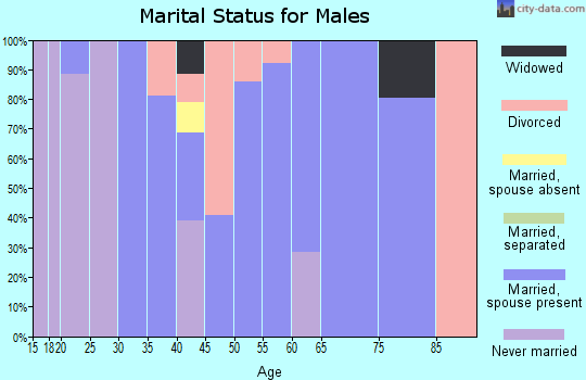 Zip code 24571 marital status for males