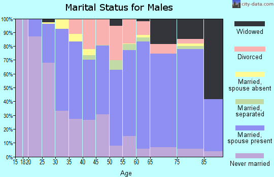 Zip code 24572 marital status for males