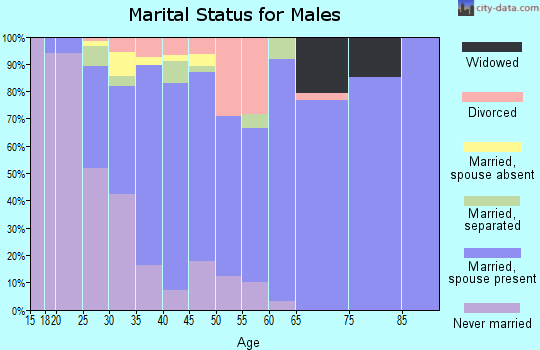 Zip code 24588 marital status for males