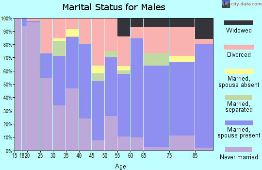 Zip code 24592 marital status for males