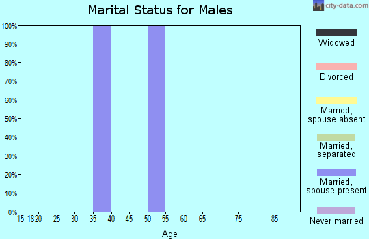 Zip code 24595 marital status for males