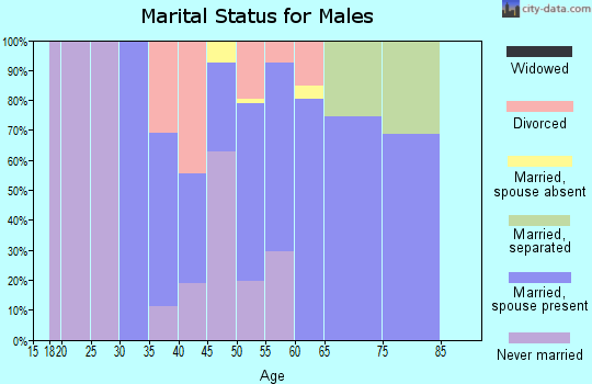 Zip code 24597 marital status for males