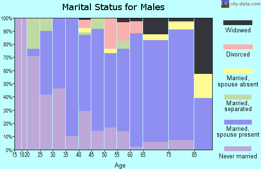 Zip code 24605 marital status for males
