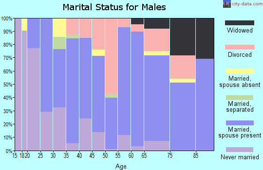 Zip code 24609 marital status for males