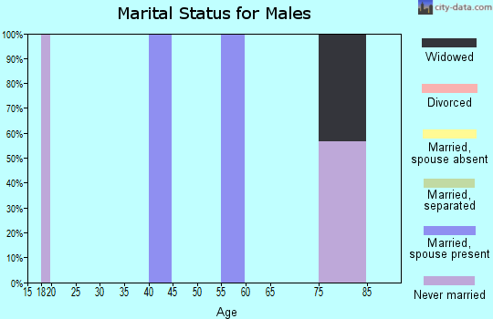 Zip code 24612 marital status for males