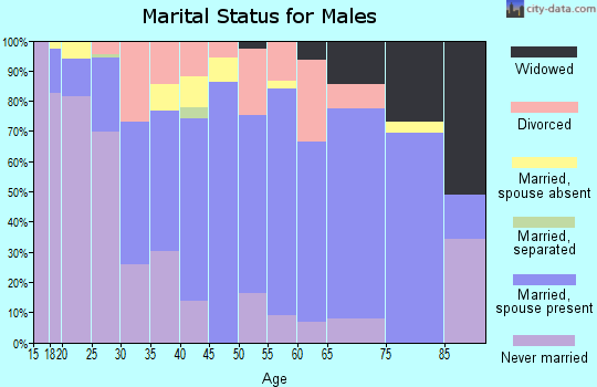 Zip code 24614 marital status for males
