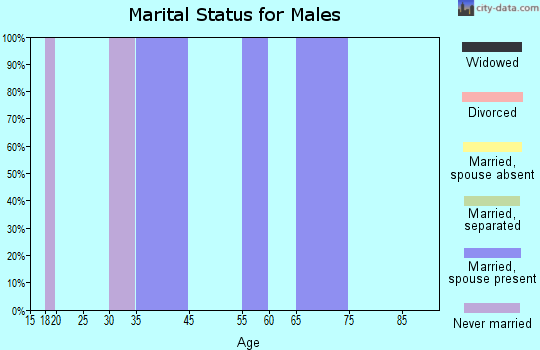 Zip code 24624 marital status for males