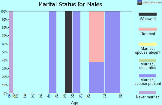Zip code 24628 marital status for males