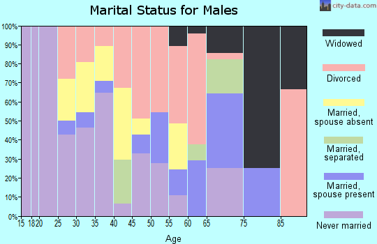 Zip code 24635 marital status for males