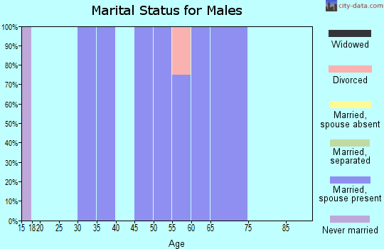 Zip code 24646 marital status for males