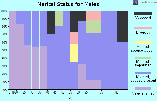 Zip code 24649 marital status for males