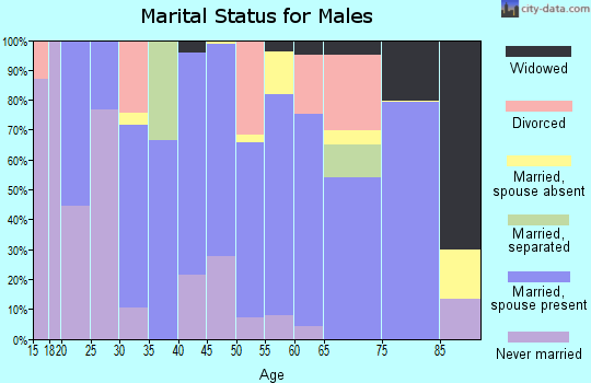 Zip code 24651 marital status for males