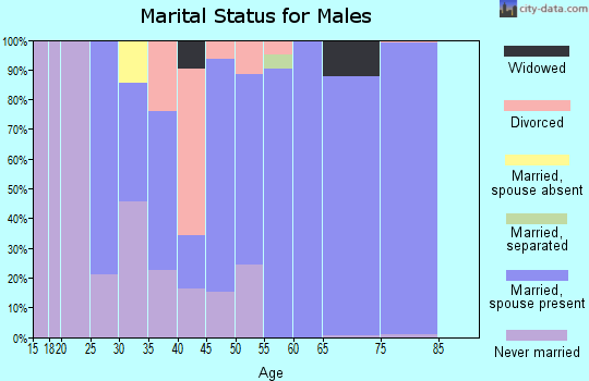 Zip code 24656 marital status for males