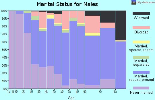 Zip code 24701 marital status for males